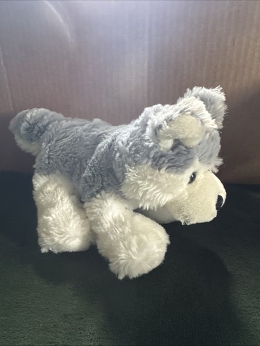 Webkinz lil kinz husky puppy - kinz,