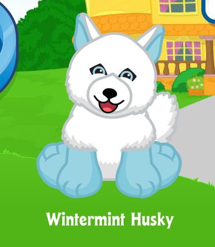 Webkinz wintermint husky - wintermint,