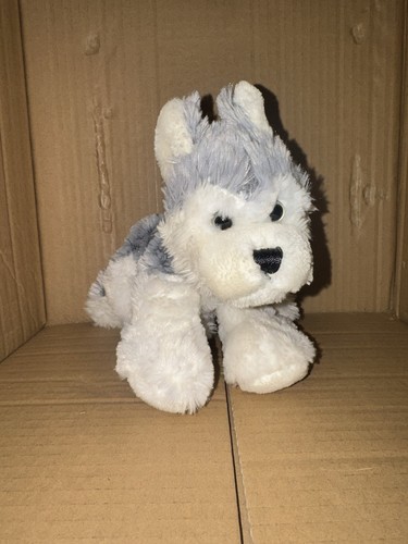 Ganz webkinz lil - webkinz, kinz